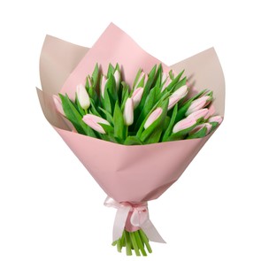 Розовые тюльпаны в упаковке (25 шт.)